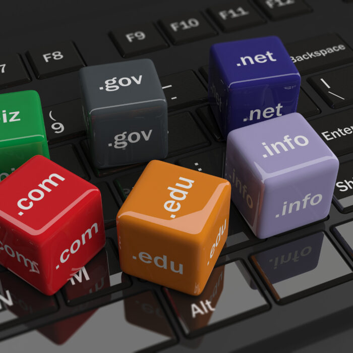 Domain Name Host Registrar Web Hosting Web Server DNS Name Server API Route53